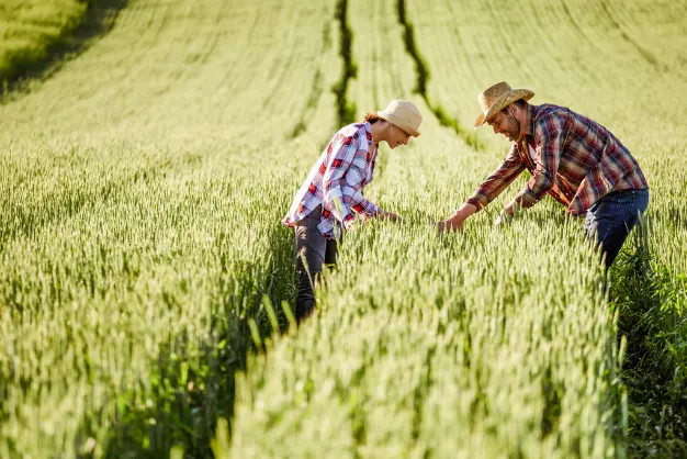 Agriculture